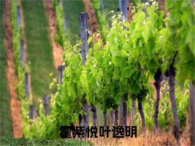 霍紫悦叶逸明（叶逸明霍紫悦）新上热文小说讲的是什么-小说霍紫悦叶逸明（叶逸明霍紫悦）全文免费阅读