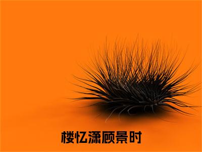 楼忆潇顾景时（楼忆潇顾景时）小说全文-楼忆潇顾景时无弹窗免费阅读