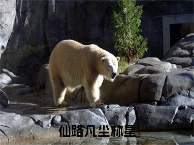 仙路凡尘林星（林星）完整版全文在线赏析-仙路凡尘林星精彩美文摘抄