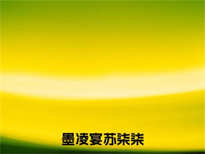（墨凌宴苏柒柒）全文免费阅读墨凌宴苏柒柒言情小说讲的是什么