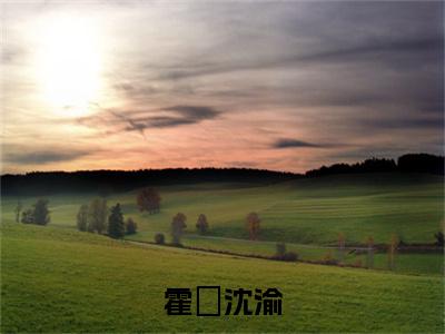 霍暻沈渝全文（沈渝霍暻）全文免费阅读无弹窗大结局_（沈渝霍暻）最新章节列表
