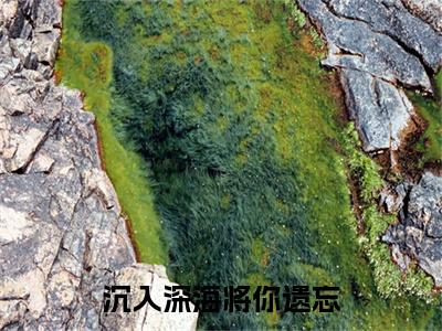 林煜深叶清瑶（沉入深海将你遗忘）完整版小说阅读_沉入深海将你遗忘林煜深叶清瑶全文免费阅读