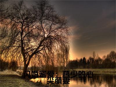 闪婚蜜爱：慕少的心尖萌妻（洛浅慕云靳）全文免费阅读无弹窗_闪婚蜜爱：慕少的心尖萌妻小说免费阅读_笔趣阁