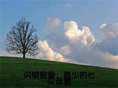 主角为洛浅慕云靳的小说精彩阅读-闪婚蜜爱：慕少的心尖萌妻最新章节阅读