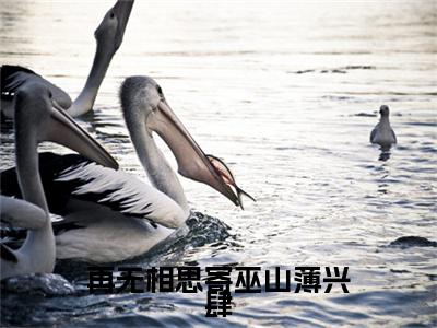 再无相思寄巫山薄兴肆全文免费阅读无弹窗（小说全文免费阅读）蒋忆薇薄兴肆最新章节列表