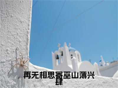 蒋忆薇薄兴肆（再无相思寄巫山薄兴肆）最新免费小说（蒋忆薇薄兴肆）全文大结局-再无相思寄巫山薄兴肆今日已更新最新章节