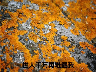 （热推新书）世人千万再难遇我完整版免费小说无弹窗阅读_世人千万再难遇我最新章节列表_笔趣阁（程星河江瑾月）