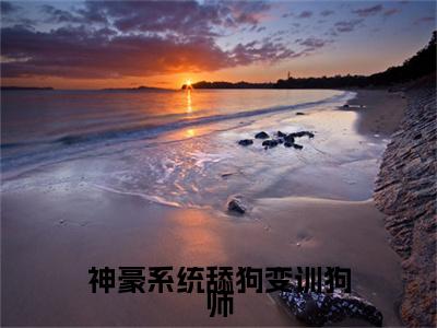 神豪系统舔狗变训狗师（温晚）全文完整版免费阅读_温晚（神豪系统舔狗变训狗师全文免费阅读）最新章节列表