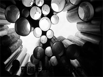主角为凌萱的小说-霸道王爷俏王妃凌萱（凌萱）全文最新完整版阅读