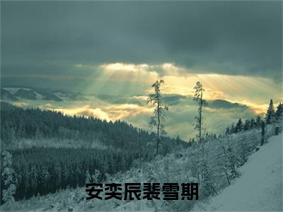 安奕辰裴雪期（安奕辰裴雪期）全文免费阅读无弹窗大结局_安奕辰裴雪期最新章节列表_笔趣阁（安奕辰裴雪期）