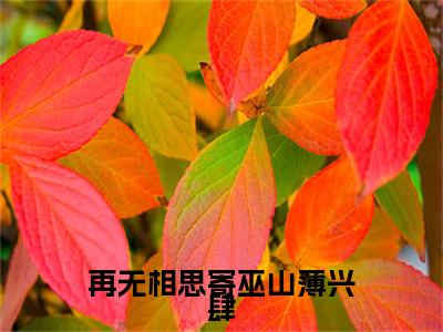 蒋忆薇薄兴肆是哪部小说的主角，再无相思寄巫山薄兴肆全文无弹窗完整版阅读