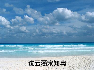 （沈云蘅宋知冉）全文免费阅读无弹窗大结局沈云蘅宋知冉免费阅读最新章节精彩免费阅读_笔趣阁