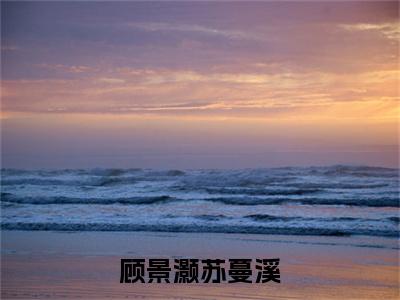 小说《顾景灏苏蔓溪》全文免费阅读无弹窗-苏蔓溪顾景灏小说全文在线赏析_笔趣阁