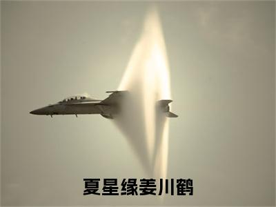 夏星缘姜川鹤小说全文免费阅读无弹窗大结局-夏星缘姜川鹤小说在哪里可以看