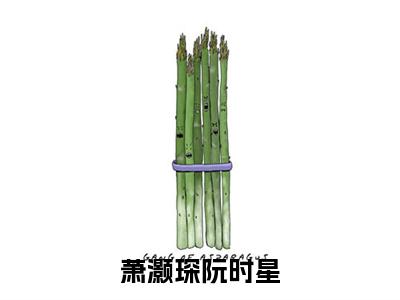 萧灏琛阮时星全文免费阅读大结局_阮时星萧灏琛已完结全集萧灏琛阮时星大结局小说