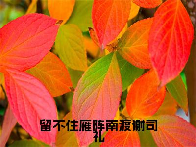 叶慕栀谢司礼小说全文-留不住雁阵南渡谢司礼精选小说叶慕栀谢司礼大结局阅读