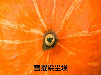 菩提染尘埃（宁郁景正卿）全文免费阅读无弹窗大结局_菩提染尘埃最新章节列表_笔趣阁