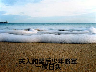 夫人和离后少年将军一夜白头（沈意欢萧暮宸）全文小说-沈意欢萧暮宸小说最新章节免费阅读