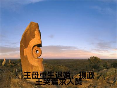 小说主母重生退婚，摄政王哭着求入赘（上官海桐谢秋光）免费阅读-小说主母重生退婚，摄政王哭着求入赘全文在线赏析