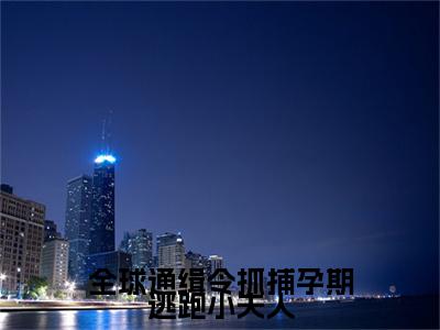 全球通缉令抓捕孕期逃跑小夫人（颜鹿时序）小说全文免费读无弹窗大结局_全球通缉令抓捕孕期逃跑小夫人小说全文免费阅读