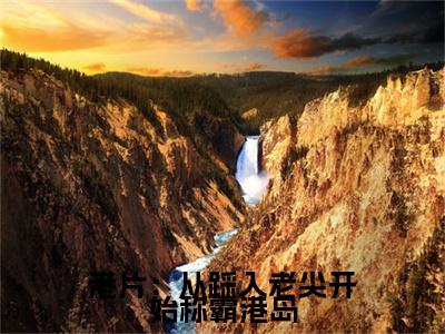 苏文圳（港片：从踩入老尖开始称霸港岛）小说在线阅读-最新小说港片：从踩入老尖开始称霸港岛（苏文圳）全文阅读