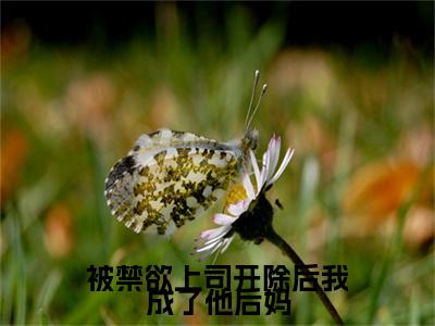 被禁欲上司开除后我成了他后妈最新热门榜单小说-纪子寒白雨宁全文无弹窗免费阅读大结局
