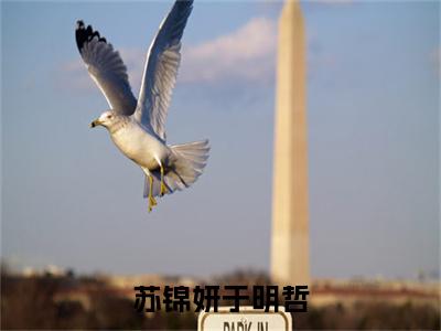 苏锦妍于明哲（苏锦妍于明哲）全文免费阅读无弹窗大结局_苏锦妍于明哲_笔趣阁