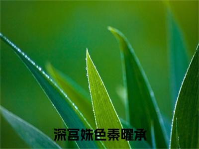 明媚儿秦曜承（深宫姝色秦曜承最新全章节大结局）全文阅读