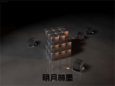 明月林墨小说（明月林墨）全文免费阅读_明月林墨小说（明月林墨）最新章节列表笔趣阁小说