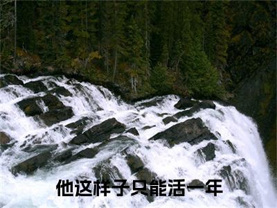 初迢厉司丞（他这样子只能活一年）小说全文免费阅读-初迢厉司丞免费阅读完整版