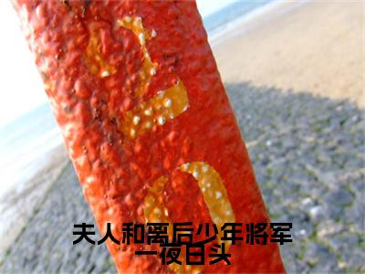 沈意欢萧暮宸（夫人和离后少年将军一夜白头）全文免费阅读无弹窗大结局_夫人和离后少年将军一夜白头完整版小说阅读（沈意欢萧暮宸）