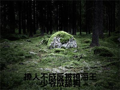 顾靖槐尉岚小说全文免费阅读大结局-撩人不成反被撩海王少爷成舔狗最新章节列表免费阅读