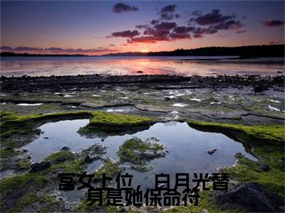 宫女上位，白月光替身是她保命符全文免费阅读无弹窗（小说全文免费阅读）如安最新章节列表
