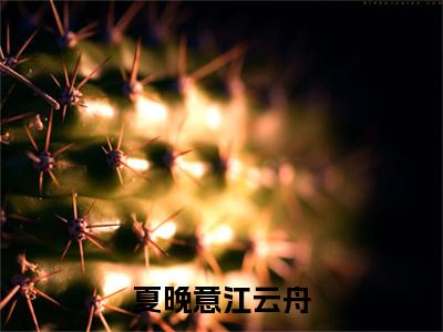 夏晚意江云舟（江云舟夏晚意）全文免费阅读最新章节_夏晚意江云舟大结局精彩阅读_笔趣阁（江云舟夏晚意）