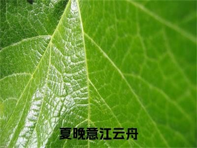 夏晚意江云舟精彩小说（江云舟夏晚意）在哪免费看-小说（江云舟夏晚意）全文完整版免费阅读