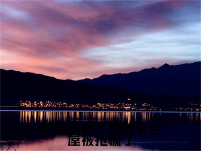 天灾末世：我的安全屋被抢疯了（沈淮凌）免费阅读最新章节无弹窗沈淮凌完整版小说在线阅读