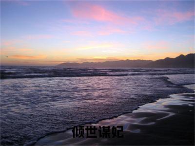 （番外）+（全文）倾世谋妃小说免费下载阅读_（倾世谋妃）墨绾离最新章节列表_笔趣阁（墨绾离）