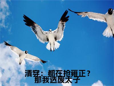 清穿：都在抢雍正？那我选废太子全集章节小说免费阅读完整版（石毓敏胤礽）-石毓敏胤礽小说免费阅读