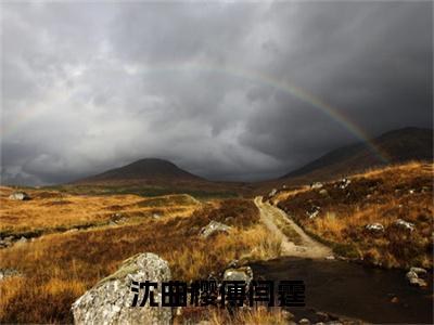 沈曲樱傅闫霆小说最新章节阅读-小说沈曲樱傅闫霆（傅闫霆沈曲樱）已完结小说精彩大结局