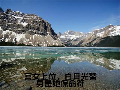 宫女上位，白月光替身是她保命符（如安）免费小说-主角如安全文在线完本阅读笔趣阁