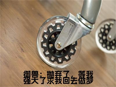 御兽：抛弃了，等我强大了求我回去做梦小说（张平安）全文免费阅读无弹窗大结局_御兽：抛弃了，等我强大了求我回去做梦最新章节列表_笔趣阁