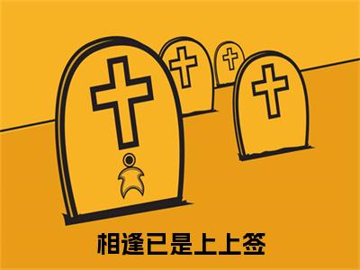 相逢已是上上签免费小说（周云烨颜安青）全本免费阅读-相逢已是上上签最新章节列表
