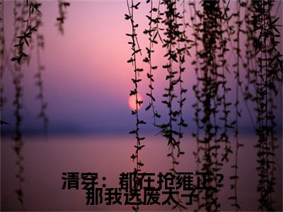 清穿：都在抢雍正？那我选废太子（石毓敏胤礽）全文免费阅读无弹窗大结局_（石毓敏胤礽）清穿：都在抢雍正？那我选废太子最新章节列表
