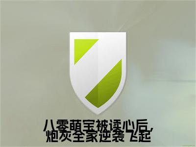 沈念念（八零萌宝被读心后，炮灰全家逆袭飞起）免费阅读无弹窗大结局-八零萌宝被读心后，炮灰全家逆袭飞起（最新全章节大结局）全文阅读