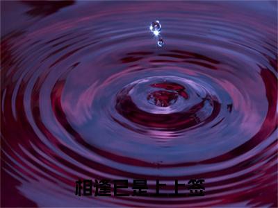 相逢已是上上签周云烨颜安青最新章节免费阅读-相逢已是上上签小说推荐周云烨颜安青精彩章节在线阅读