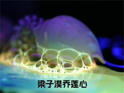 （乔莲心梁子漠）梁子漠乔莲心全文免费阅读无弹窗大结局_梁子漠乔莲心最新章节列表笔趣阁（乔莲心梁子漠）