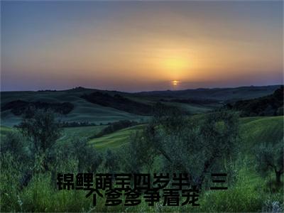 姜晚晚锦鲤萌宝四岁半，三个爹爹争着宠小说全文无广告阅读-姜晚晚小说赏析锦鲤萌宝四岁半，三个爹爹争着宠