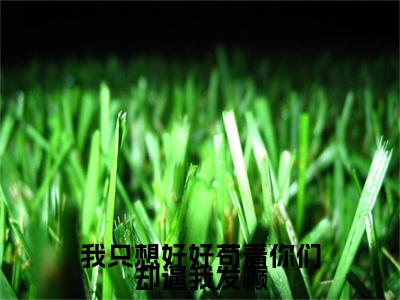 我只想好好苟着你们却逼我发癫（施容）全文免费阅读无弹窗大结局_施容最新章节列表_笔趣阁