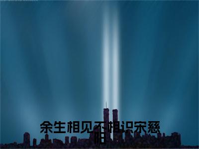 蒋书屹宋慈阳全文免费（余生相见不相识宋慈阳）全文免费阅读无弹窗大结局_（蒋书屹宋慈阳全文免费）