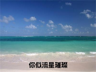 你似流星璀璨（顾宴承佟余晚小说）全文免费阅读无弹窗大结局_顾宴承佟余晚小说免费阅读最新章节列表